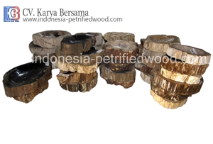 Petrified Wood Ashtray