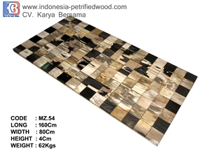 Petrified Wood Coffee Table Top