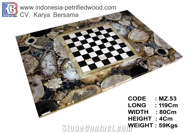 Petrified Wood Coffee Table Top