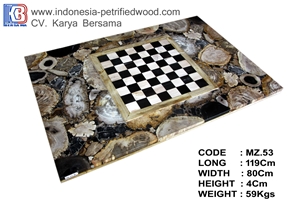 Petrified Wood Coffee Table Top