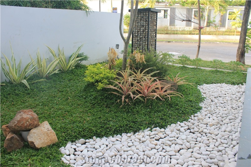 White Beach Pebbles Stone, Indonesia White Natural Pebble Stone, White Loose Pebble Walkway