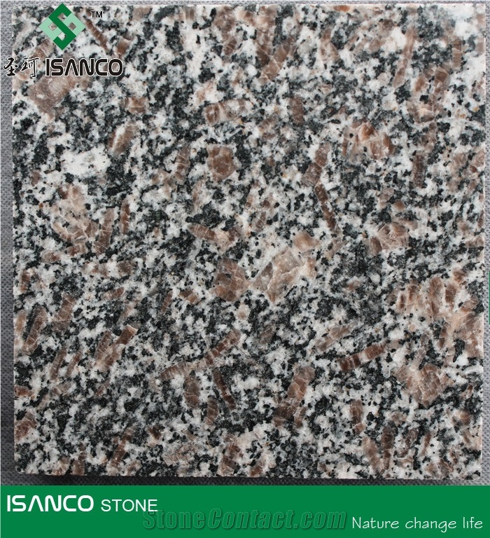 Chinese Brown Granite Floor Covering Pearl Brown Granite Flooring Congo Pearl Natural Granite Flooring Royal Pearl Brown Granite Pattern Shandong Pearl Granite Tiles Brown Color Congo Pearl Granite