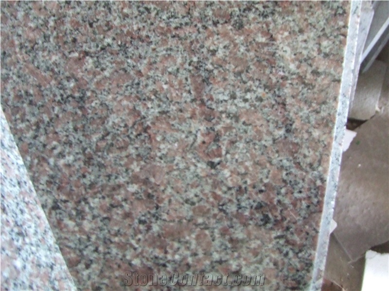 New G300 Hawthorn Red Granite Slabs & Tiles, Wall & Floor Covering, G300 Granite Red Stone Tiles/Slabs, Santa Red ,China Shandong Red Granite