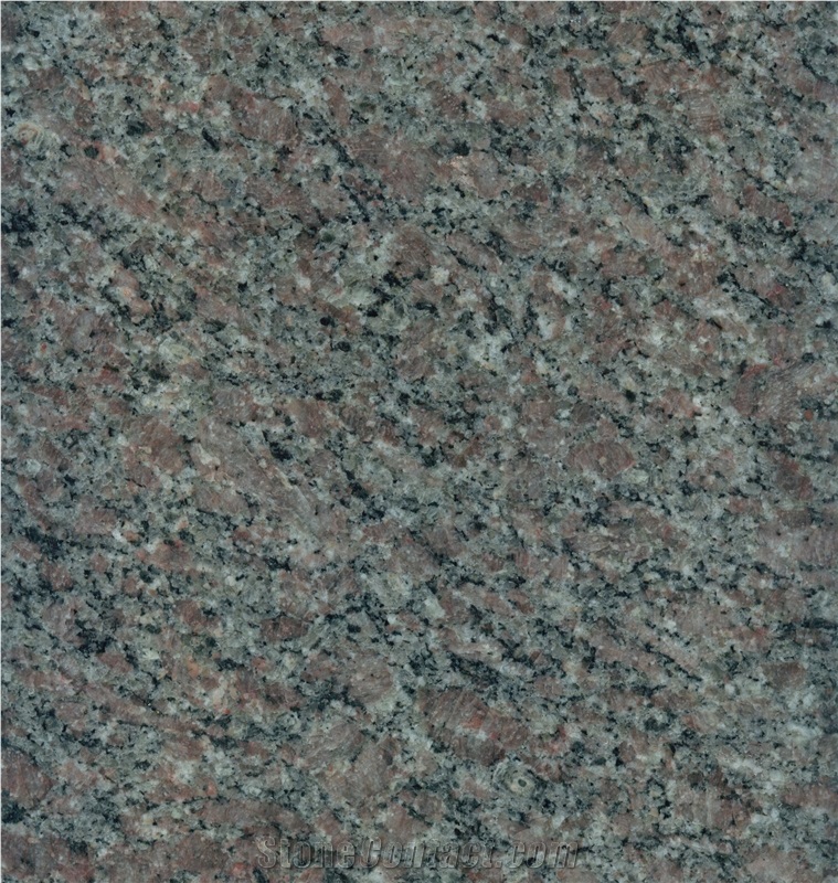 New G300 Hawthorn Red Granite Slabs & Tiles, Wall & Floor Covering, G300 Granite Red Stone Tiles/Slabs, Santa Red ,China Shandong Red Granite