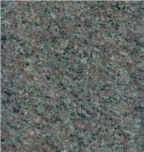New G300 Hawthorn Red Granite Slabs & Tiles, Wall & Floor Covering, G300 Granite Red Stone Tiles/Slabs, Santa Red ,China Shandong Red Granite