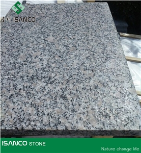 Shandong G383 Granite Pool Pavers Zhaoyuan Grey Granite Pool Coping Tiles Pearl Flower Granite Swimming Pool Decks Zhaoyuan Zhenzhu Hua Granite Pool Terraces Paradies Blume Granite for Pool Coping