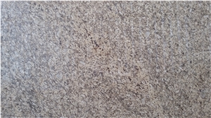 Ouro Brazil New Venetian Gold Granite Slabs
