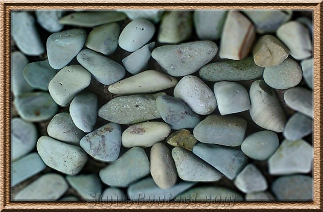 Green River Pebble Kupang Hijau / Green Kupang