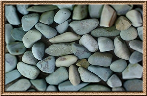 Green River Pebble Kupang Hijau / Green Kupang