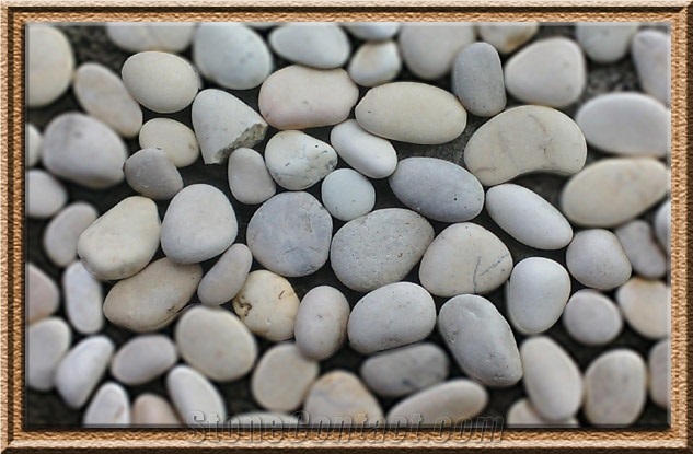 Pebble White Kupang / Kupang Putih