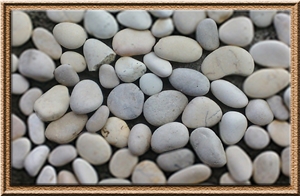Pebble White Kupang / Kupang Putih
