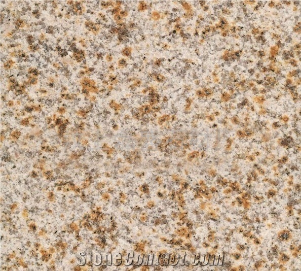 G350 Granite Tiles & Slabs, China Yellow Granite