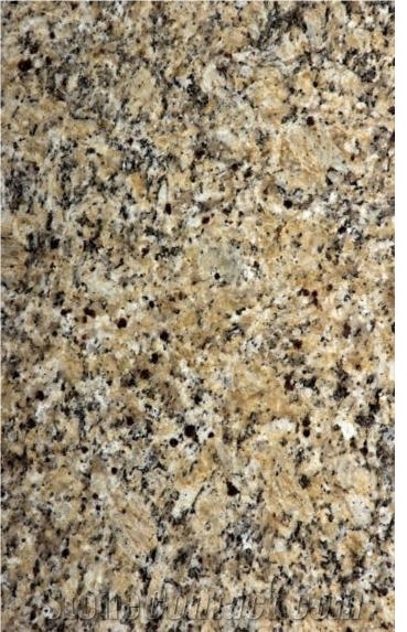 Fiesta Gold Granite Slabs