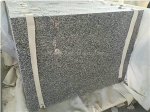 Best Price G603 Granite Tiles & Slabs/China Sardinia/Crystal Grey G603/Gamma Biancosilver Grey Granite/Sesame White Granite/Crystal Grey Granite/Light Grey Granite Slab & Tile/White Granite Kerbstone