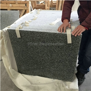 Best Price G603 Granite Tiles & Slabs/China Sardinia/Crystal Grey G603/Gamma Biancosilver Grey Granite/Sesame White Granite/Crystal Grey Granite/Light Grey Granite Slab & Tile/White Granite Kerbstone