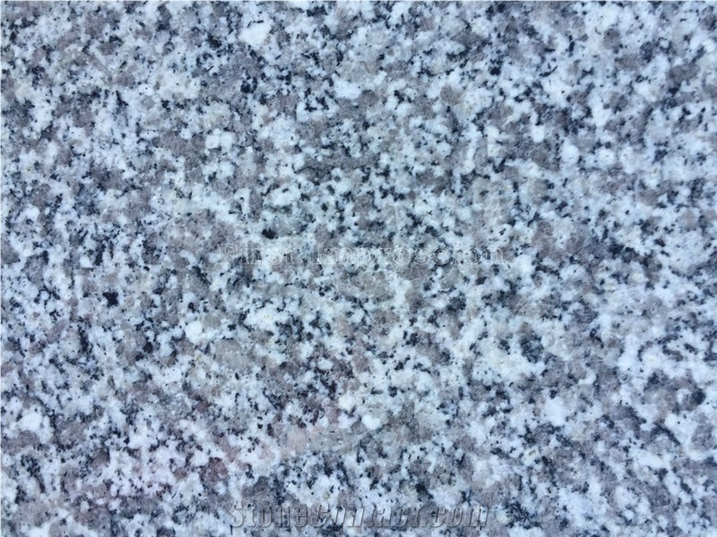 Best Price G603 Granite Tiles & Slabs/China Sardinia/Crystal Grey G603/Gamma Biancosilver Grey Granite/Sesame White Granite/Crystal Grey Granite/Light Grey Granite Slab & Tile/White Granite Kerbstone