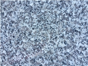 Cheap G603 Granite Tiles & Slabs/China Sardinia/Crystal Grey G603/Gamma Biancosilver Grey Granite/Sesame White Granite/Crystal Grey Granite/Light Grey Granite Slab & Tile/White Granite Kerbstone