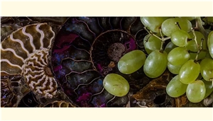 Semiprecious Stone