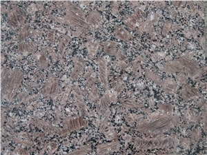 Chinese Cafe Bahia Granite,Fine Pearl,Coffe Bahia,Coffee Brown, China Brown Granite Slab, Natural Stone, Building Stones, Wall Cladding Tiles, Interior Stones, Decorations, Facades, Mushroom Wall