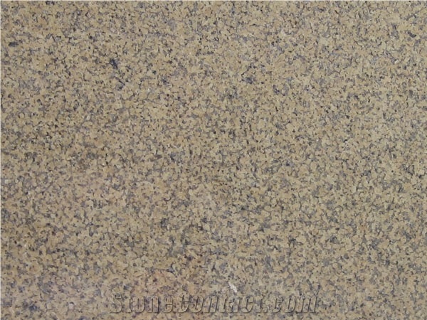 Chrysanthemum Yellow Granite,Chrysanthemum Yellow Fujian Granite,Chrysanthemum Yellow Granite