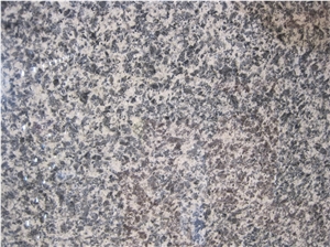 G5158,Leopard Skin Miyi Granite,Leopard Brown,Leopard Skin Granite,Leopard Spot,Leopart Brown,Miyi Baopi Hua,Miyi Leopard Skin,Miyi Leopard Skin Flower,Variegated Leopard Skin Granite