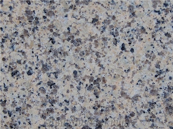 G703 Granite,G6522,Chrysanthe Mum Yellow,Chrysanthemum Yellow, Chrysanthemum Yellow Of Tuoli,Flower Yellow,G991,Juhua Huang,Mum Yellow,Tuoli Chrysanthemum Yellow,Tuoli Juhua Huang