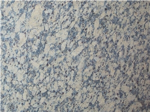 Golden Autumn Grain Granite,Golden Autumn Granite,Autumn Gold Granite