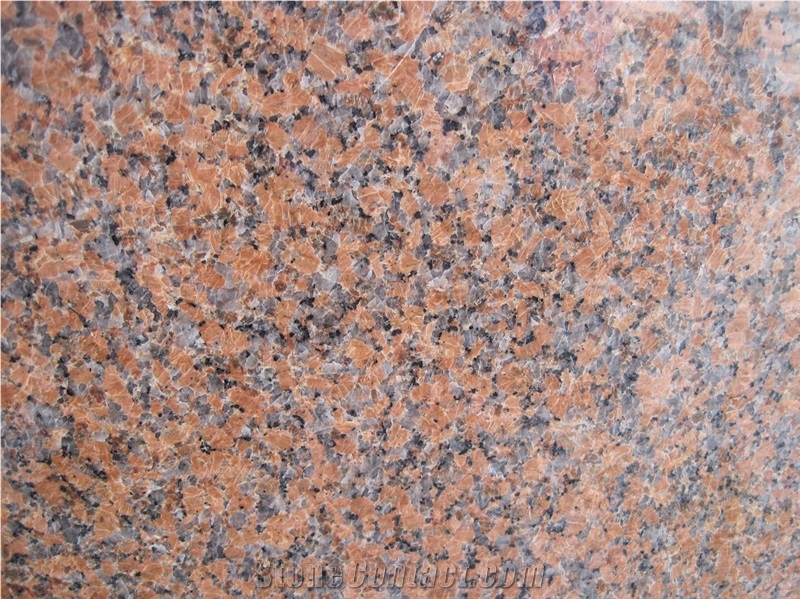 Maple Leaf Red Granite, G4562,Capao Bonito,Cenxi Red,Charme Red,Copperstone,Crown Red,G562 Granite,Maple Leaves,Maple Red,China Red Granite Slabs Polishing, Polished Wall Floor Covering Tiles, Walling