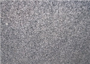 Shandong Grey Granite, China Grey Granite Slabs Polishing, Polished Wall Floor Covering Tiles, Walling, Flooring, Skirtings, for Stairs, Risers, Treads, Staircases, Thresholds, Veneers, Windows Sill,L