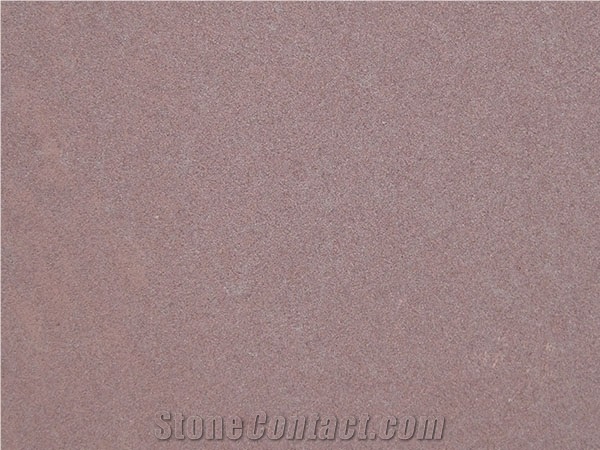 Shandong Red Wood Sandstone Slabs & Tiles, China Red Sandstone