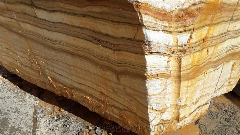 Multicolor Traonyx Blocks