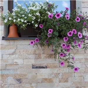 Rhodos Slate 5cm X Fl