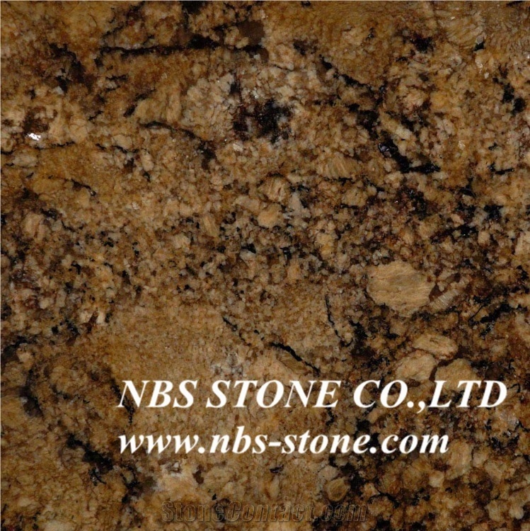 Brown Persa Granite Tiles& Slabs,Wall Covering,Flooring