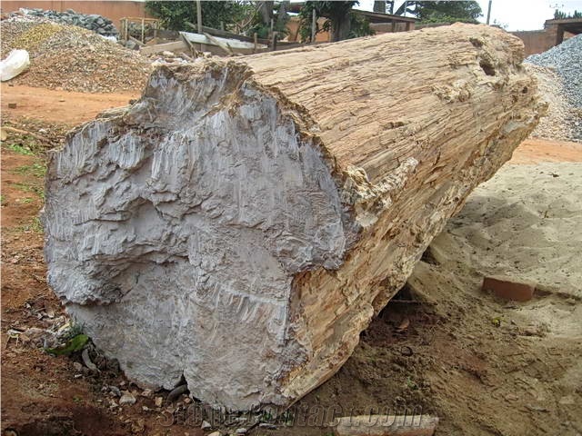 Petrified Wood