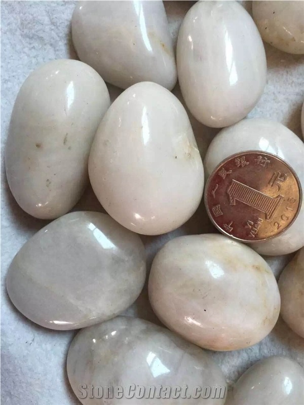 Crema White High Polished Pebble Stone,China Pebble Stone Driveways
