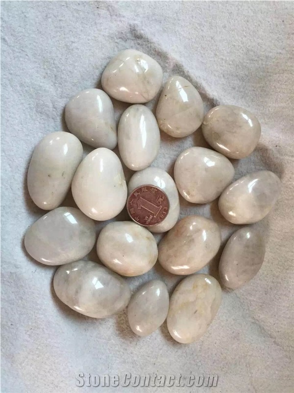 Crema White High Polished Pebble Stone,China Pebble Stone Driveways