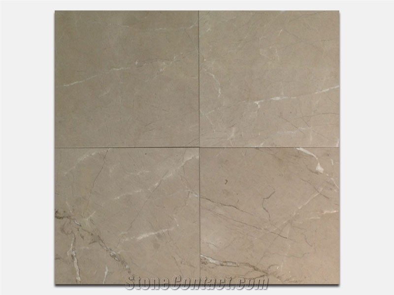 Ligourio Dark 16 X 16 Marble Tile