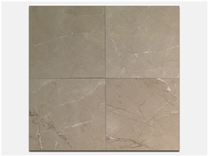 Ligourio Dark 16 X 16 Marble Tile