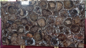 Petrified Wood