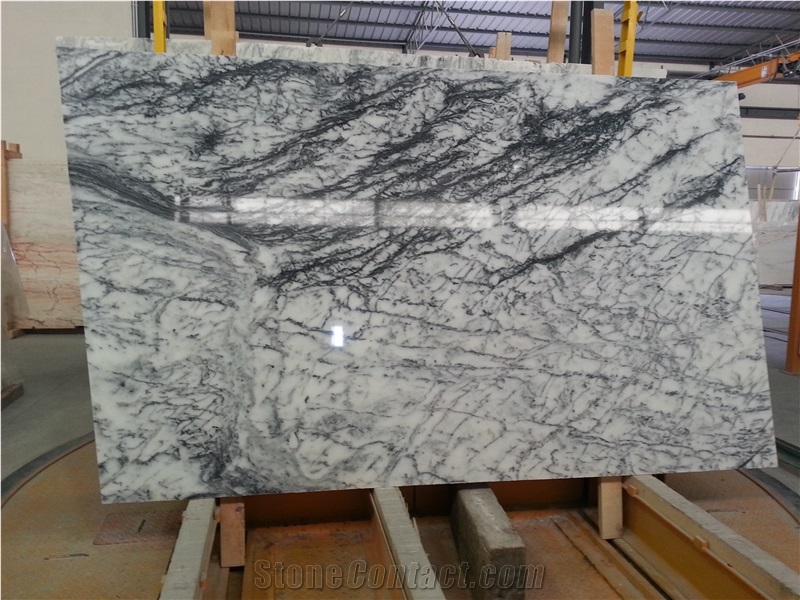 Dynossaurus Marble, Estremoz White Marble with Black Veins Slabs