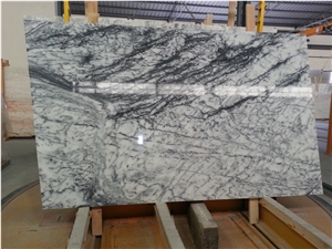 Dynossaurus Marble, Estremoz White Marble with Black Veins Slabs Dynossaurus Marble, Estremoz White Marble with Black Veins Slabs