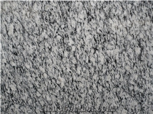 Serizzo Granite Block, Italy Grey Granite Serizzo Formazza
