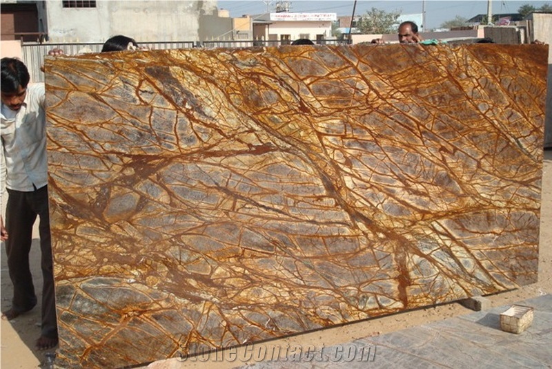 Factory Price Import Rainforest Brown Marble Slabs for Home Decoration