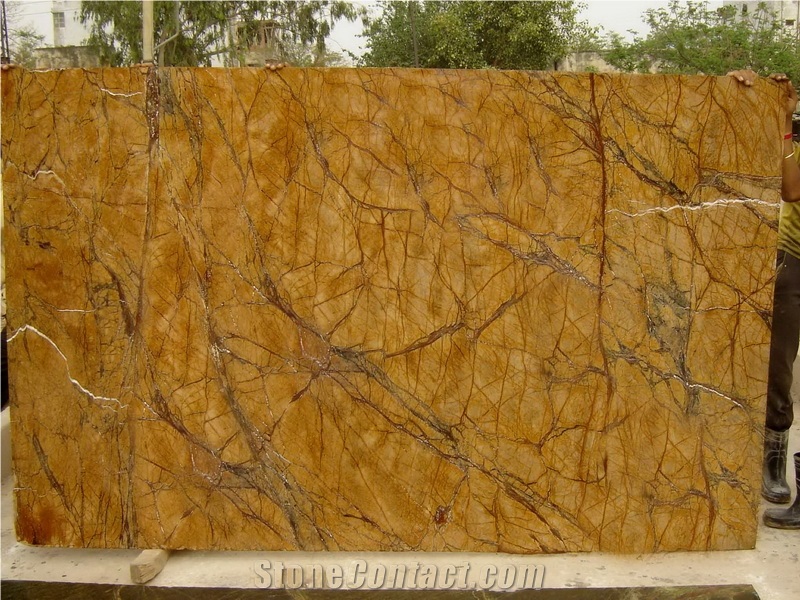 Professional Biggest Factory Rainforest Brown Marble Slabs,Tiles