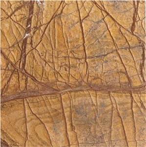 Professional Biggest Factory Rainforest Brown Marble Slabs,Tiles