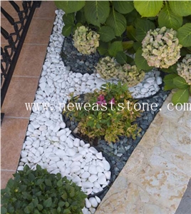 Landscaping Pebble Stone Thasos Snow White Pea Artificial Gravel for Driveway