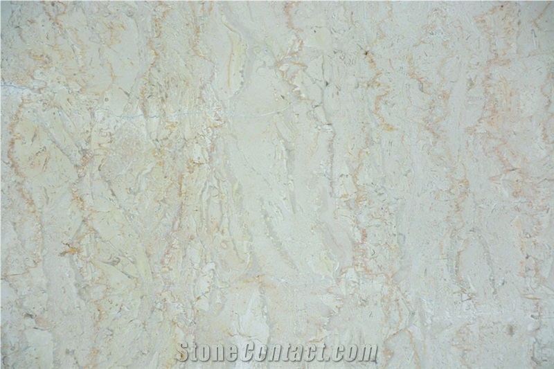 Filetto Marble Tiles & Slab