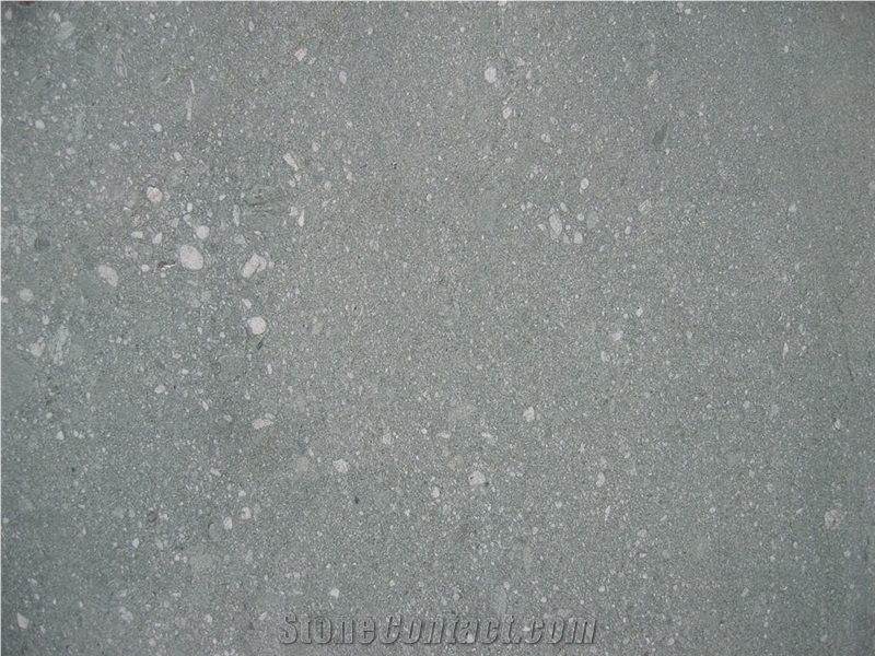 Vert De Salvan- Verde Salvan Green Gneiss