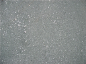Vert De Salvan- Verde Salvan Green Gneiss