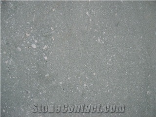Vert De Salvan- Verde Salvan Green Gneiss